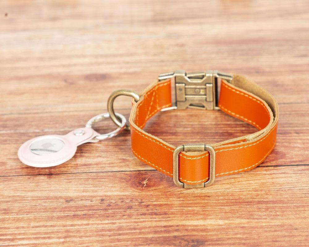 Scobby Leather Dog Collar