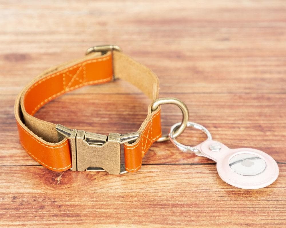 Scobby Leather Dog Collar