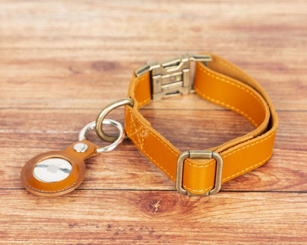 Scobby Leather Dog Collar